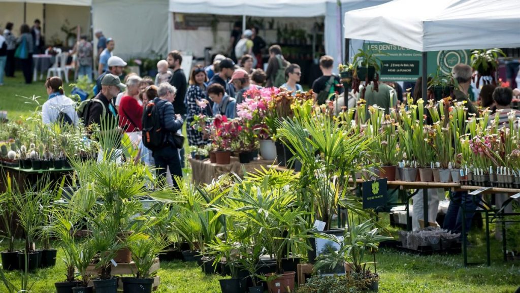 folie des plantes nantes